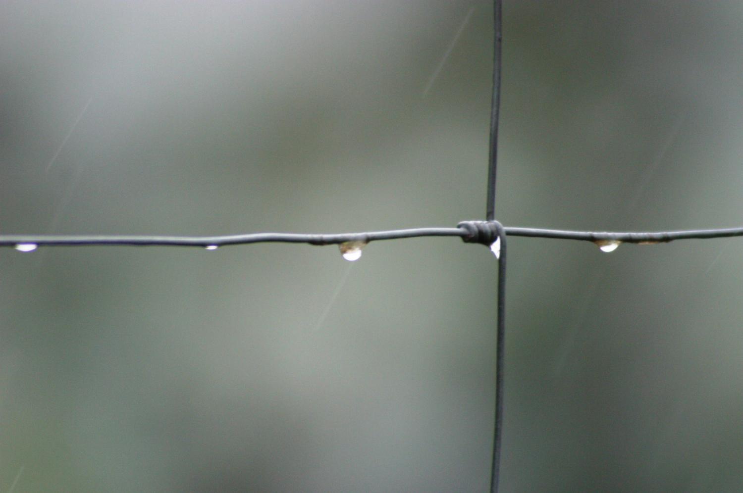 10194_drahtzaun_by_doris_michael_will_pfarrbriefservice