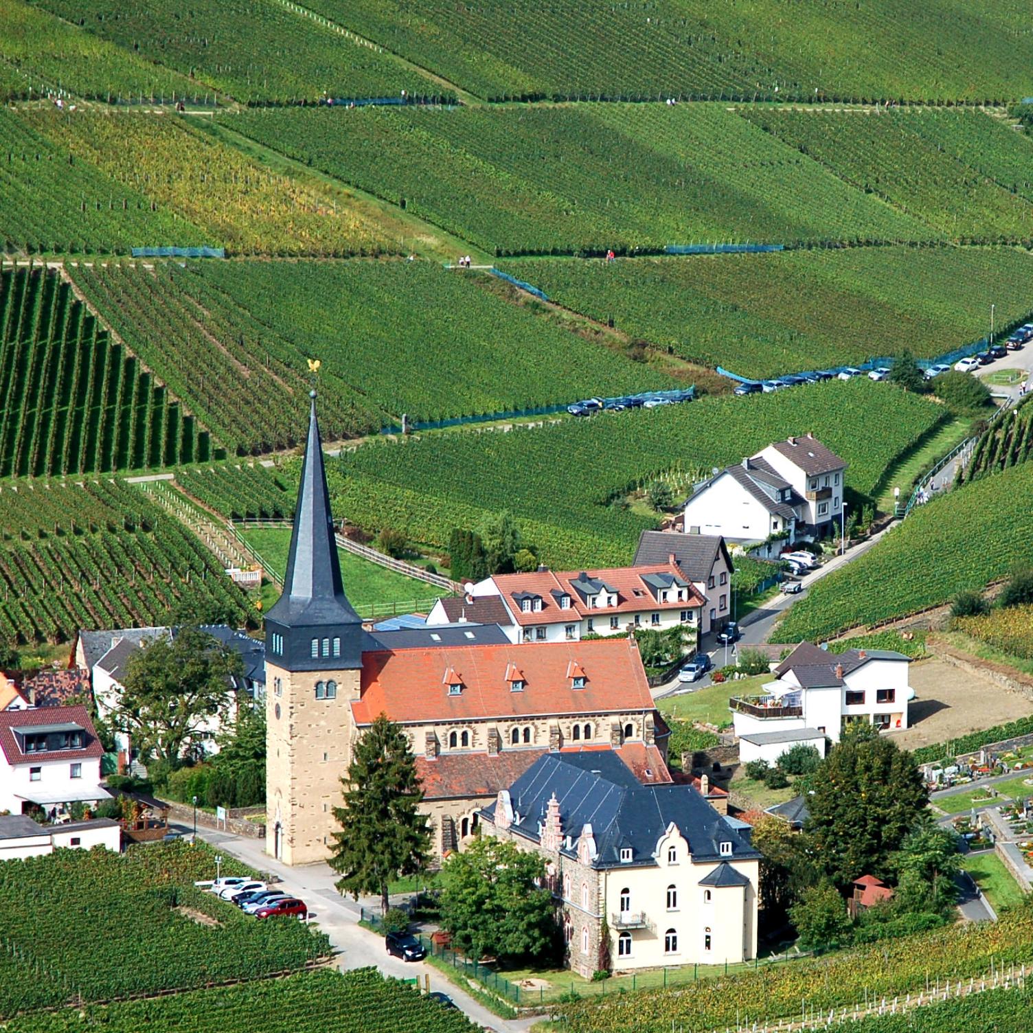 Blick vom Rotwein-Wanderweg auf Mayschoß