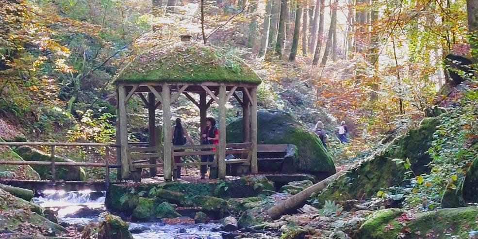 Pilger der Hoffnung (c) Markus Hartmann